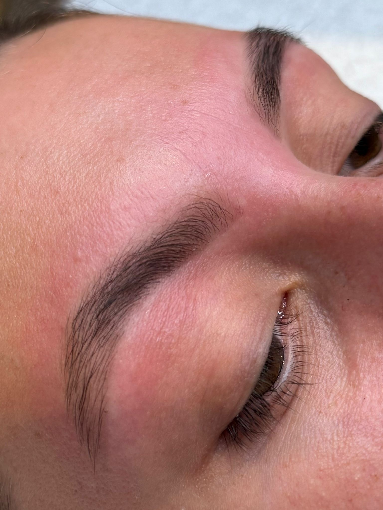 Brow Lamination Result
